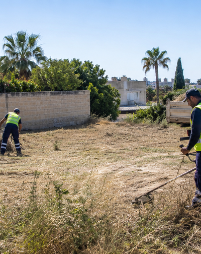 Καθαρισμός Οικοπέδων Δήμος Αμαθούντας | Επίσημη Ιστοσελίδα